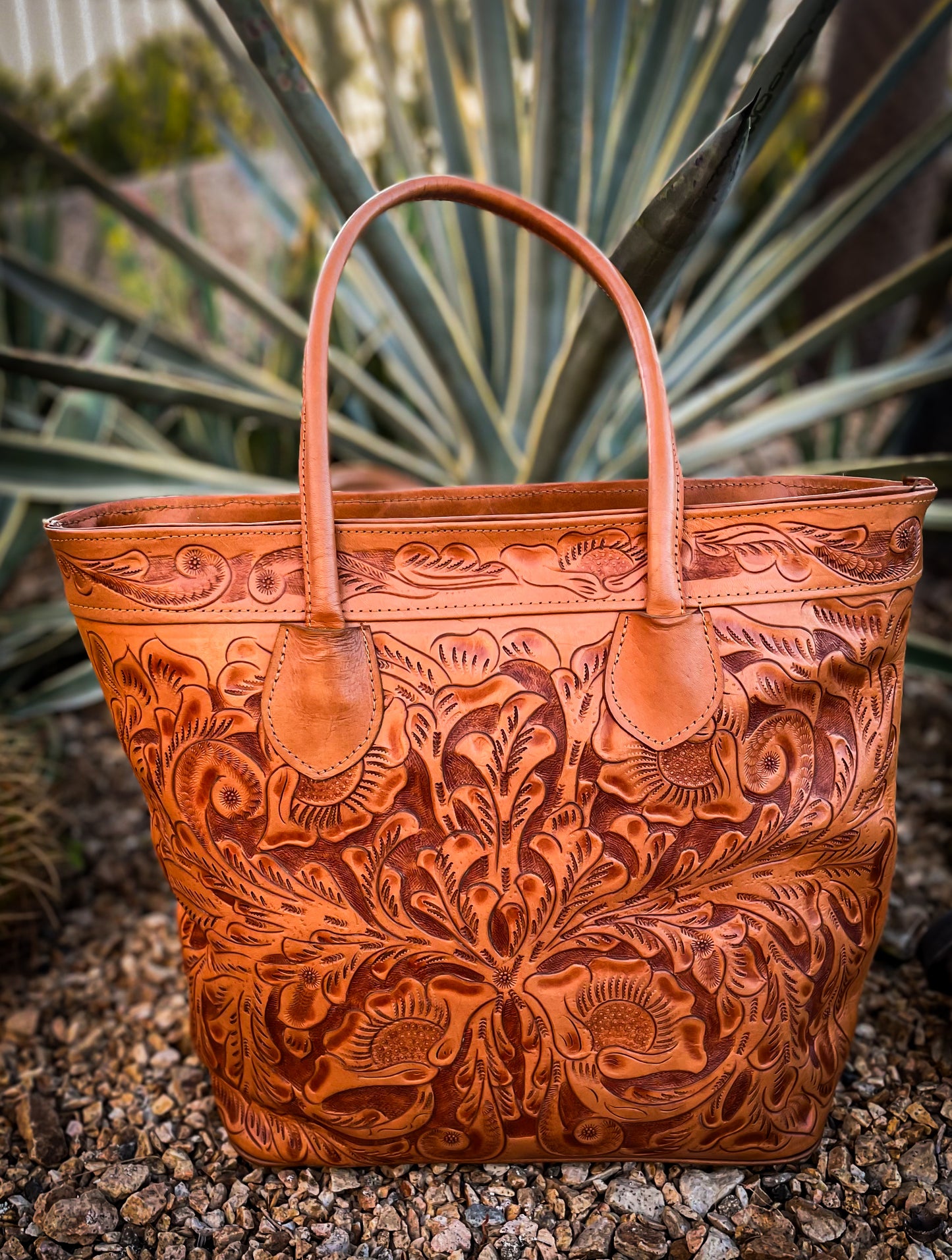 La Paloma